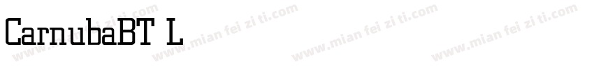 CarnubaBT Light字体转换